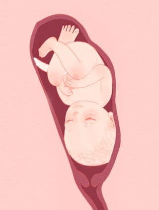 《女娃》漫画封面